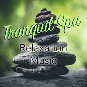 收聽Spirit的Beautiful Tibet歌詞歌曲