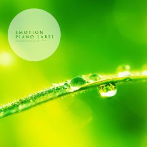 收听Melody Wind的Like A Spring Breeze歌词歌曲