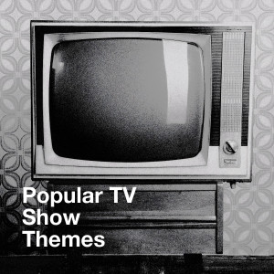 TV Theme Song Library的专辑Popular TV Show Themes