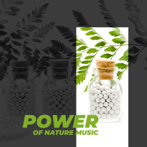 Album Power of Nature Music - Connect with Nature, Music of Nature's Medicine from Feel Better Unit