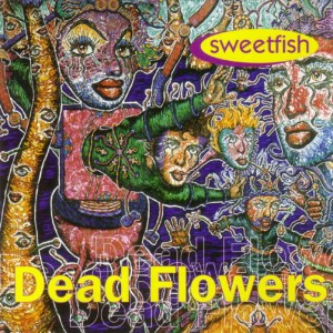 收聽Dead Flowers的Spaceboy歌詞歌曲