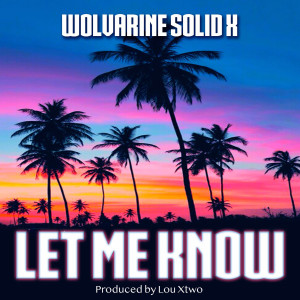 ดาวน์โหลดและฟังเพลง Let Me Know (Explicit) พร้อมเนื้อเพลงจาก Wolvarine Solid X