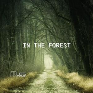ดาวน์โหลดและฟังเพลง In the Forest พร้อมเนื้อเพลงจาก Lesfm