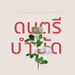 ดาวน์โหลดและฟังเพลง ดนตรีบำบัด พร้อมเนื้อเพลงจาก Otto VNV