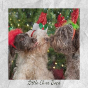 Dengarkan lagu Christmas Wrapping nyanyian Waitresses dengan lirik