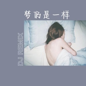 收聽半隻狐狸的夢仍是一樣 (DJ)歌詞歌曲
