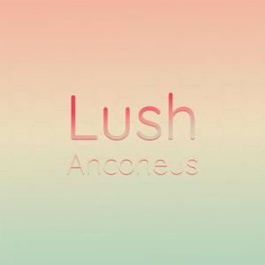 Various的专辑Lush Anconeus