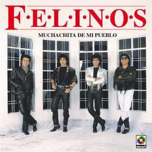 ดาวน์โหลดและฟังเพลง Llorando พร้อมเนื้อเพลงจาก Los Felinos