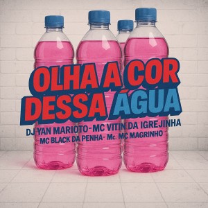 ดาวน์โหลดและฟังเพลง Olha A Cor Dessa Água พร้อมเนื้อเพลงจาก DJ YAN MARIOTO