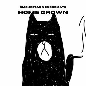 ดาวน์โหลดและฟังเพลง Home Grown พร้อมเนื้อเพลงจาก 23 Odd Cats
