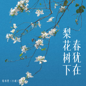 Album 梨花树下春犹在 from 小魂