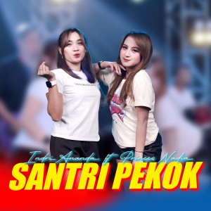 Dengarkan Santri Pekok lagu dari Indri Ananda dengan lirik