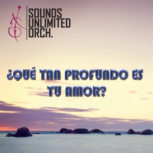 Sounds Unlimited Orchestra的專輯¿Qué Tan Profundo Es Tu Amor?