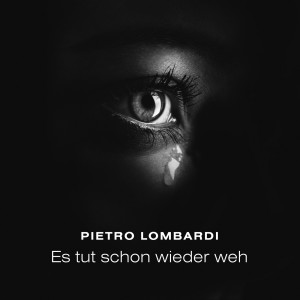 ดาวน์โหลดและฟังเพลง Es tut schon wieder weh พร้อมเนื้อเพลงจาก Pietro Lombardi