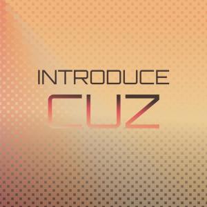 Various Artists的專輯Introduce Cuz