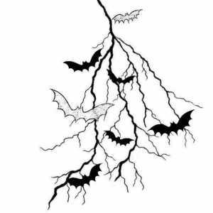 ดาวน์โหลดและฟังเพลง E Como Eu Fico? (Explicit) พร้อมเนื้อเพลงจาก $Nicevxnx