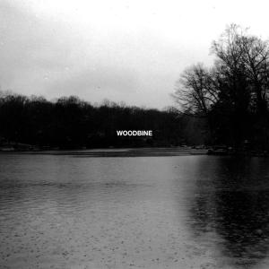 收听Pearl White的WOODBINE歌词歌曲
