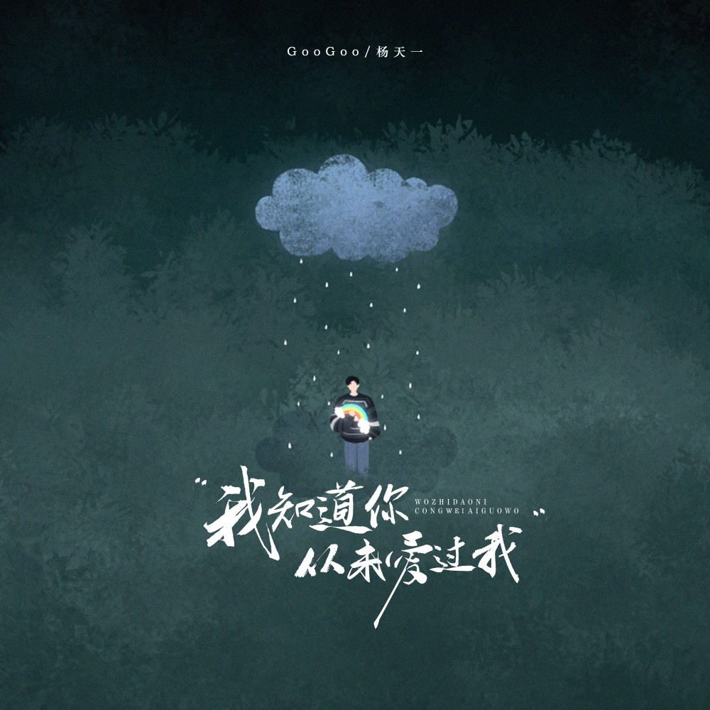 我知道你从未爱过我 (伴奏)