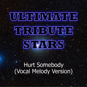 Ultimate Tribute Stars的專輯Akon feat. French Montana - Hurt Somebody (Vocal Melody Version)