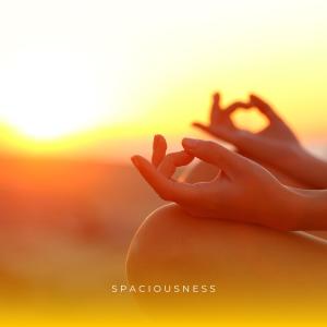 ดาวน์โหลดและฟังเพลง Spaciousness พร้อมเนื้อเพลงจาก Massage Tribe