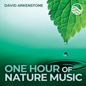 David Arkenstone的專輯One Hour Of Nature Music: For Massage, Yoga And Relaxation