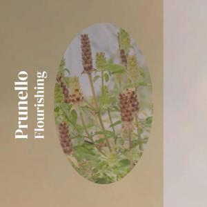 Listen to Prunello Flourishing song with lyrics from Basl Marga
