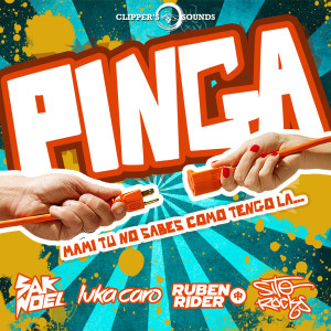 Listen to Pinga (Radio Mix) song with lyrics from Sak Noel