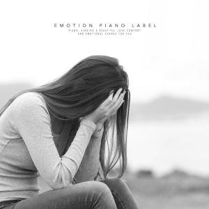 About the sorrow left by love (Sensibility New Age piano) dari Various Artists