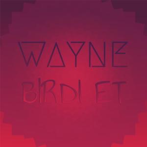 收聽Brads Juri的Siete Flojo歌詞歌曲