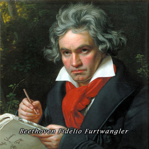 收聽Vienna Philharmonic Orchestra, Wilhelm Furtwängler的Leonore #3 (Leonore #3)歌詞歌曲