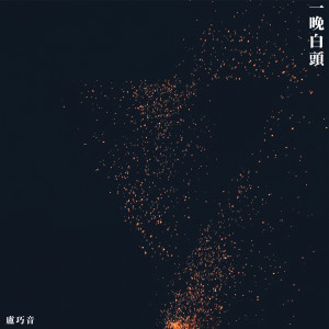 ดาวน์โหลดและฟังเพลง Over One Night, My Hairs Turned White (Rock Version) พร้อมเนื้อเพลงจาก 卢巧音