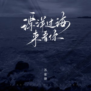 收聽蘇星婕的漂洋過海來看你 (完整版)歌詞歌曲