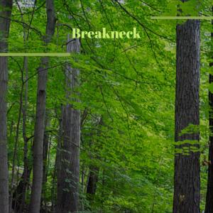 Various的专辑Breakneck