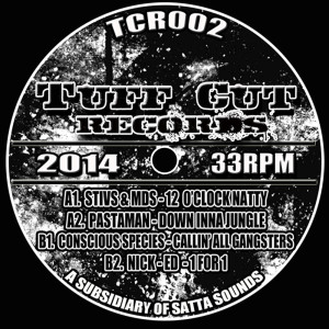 ดาวน์โหลดและฟังเพลง 12 O'Clock Natty พร้อมเนื้อเพลงจาก Stivs