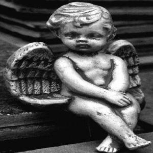 Album Anger of the Angels from Various