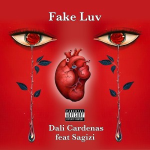Album Fake Luv (feat. Sagizi) from BabyNyca