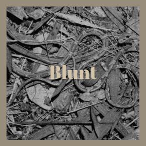 Album Blunt from Various
