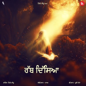 Himmat Sandhu的专辑Rabb Disya