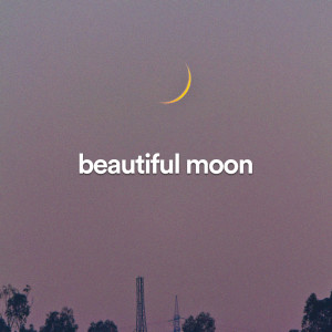 beautiful moon