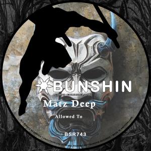 ดาวน์โหลดและฟังเพลง Allowed To (Explicit) พร้อมเนื้อเพลงจาก Matz Deep