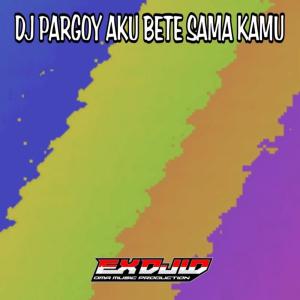 Dj Pargoy Aku Bete Sama Kamu dari EX DJ ID