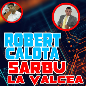 Listen to Afara E Lumea Rea song with lyrics from Robert Calota