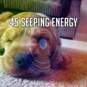 ดาวน์โหลดและฟังเพลง Rapid Sleeping พร้อมเนื้อเพลงจาก Nature Sound Series