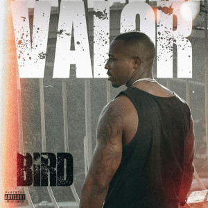 Album Valor (Explicit) from Bird