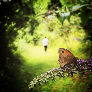 Listen to Will You Still Love Me Tomorrow song with lyrics from Hannah Cartwright