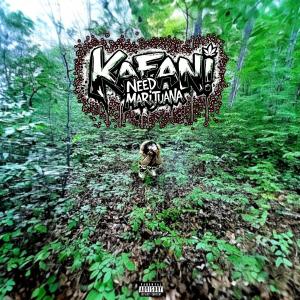 收聽Kafani的Need ********* (Explicit)歌詞歌曲