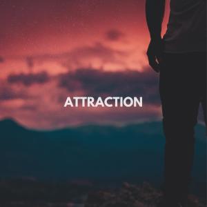 收聽Modulation Sounds的Attraction歌詞歌曲