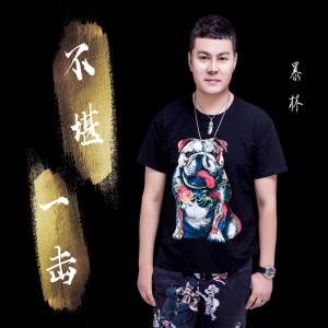 Listen to 爱你让我痴心化成灰 (DJ版) song with lyrics from 暴林