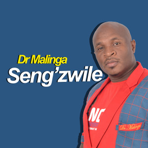 收聽Dr Malinga的Seng'Zwile歌詞歌曲