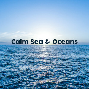 Listen to Satisfying Water Sounds song with lyrics from Ocean Waves for Sleep